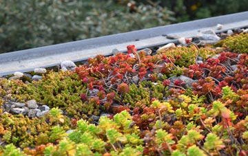 the cost of Wastor green roof installation