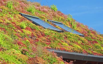 Wastor living roof systems