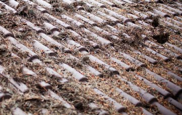 Wastor roof cleaning companies